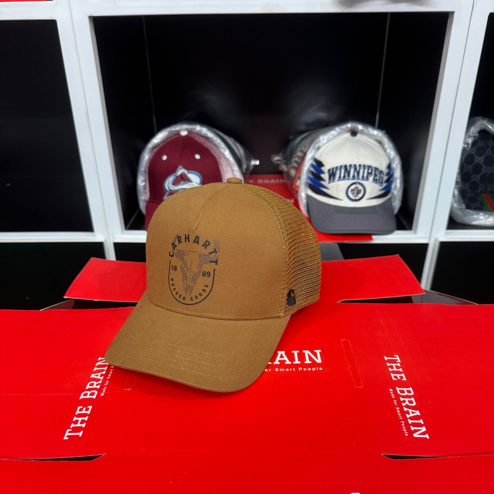 Carhartt Canvas Mesh-Back Graphic Logo Cap (Snapback)