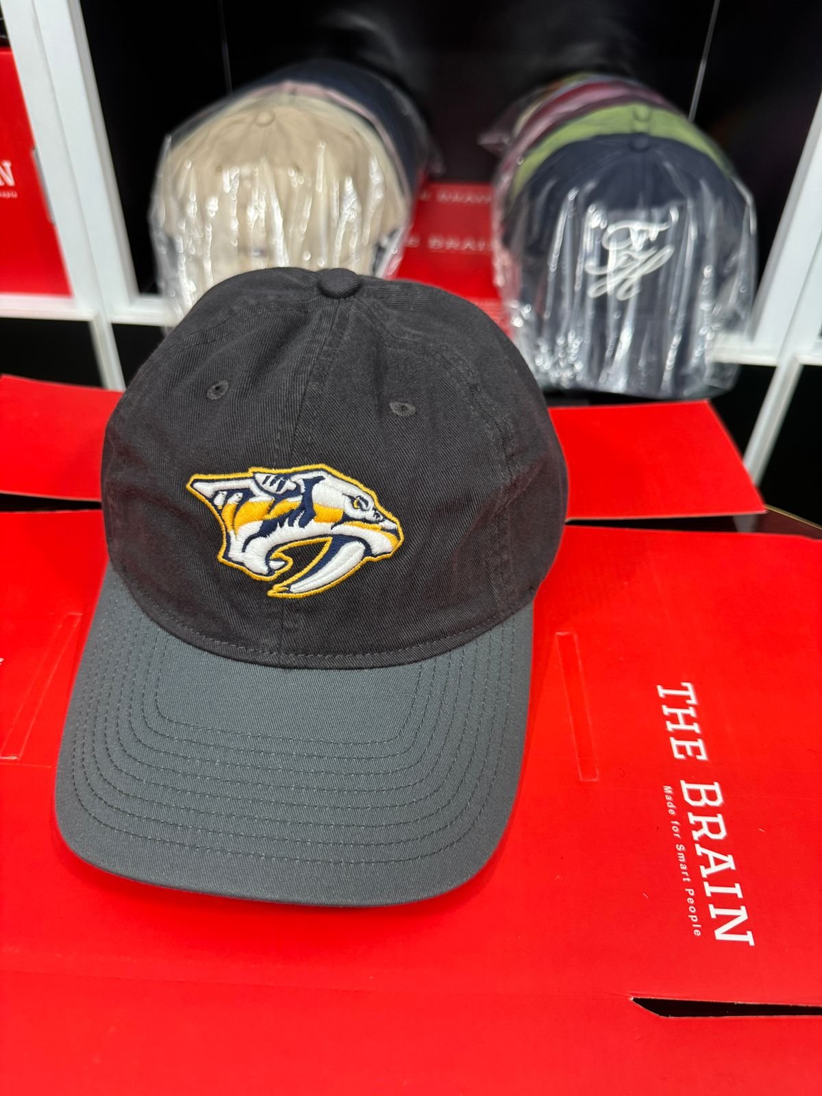 Zephyr Embroidered Logo Adjustable Baseball Cap