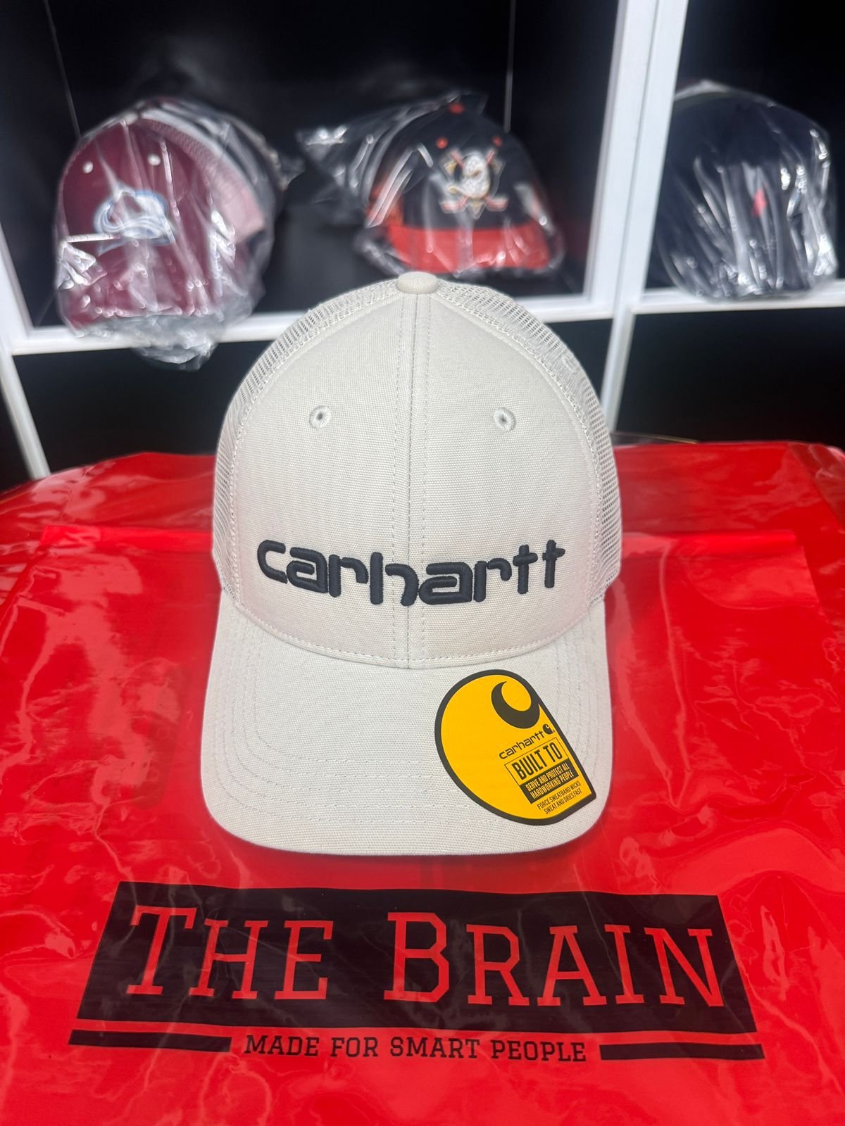 Carhartt Classic Mesh Trucker Cap (Blue/White)