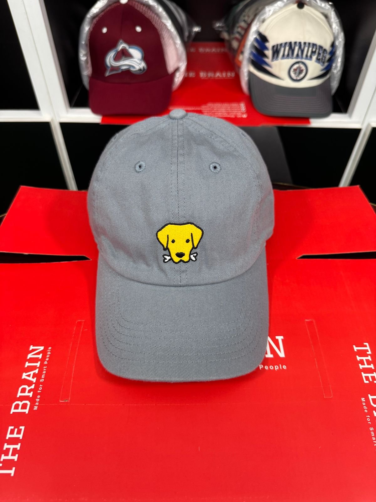 Life is Good Embroidered Dog Icon Adjustable Baseball Cap