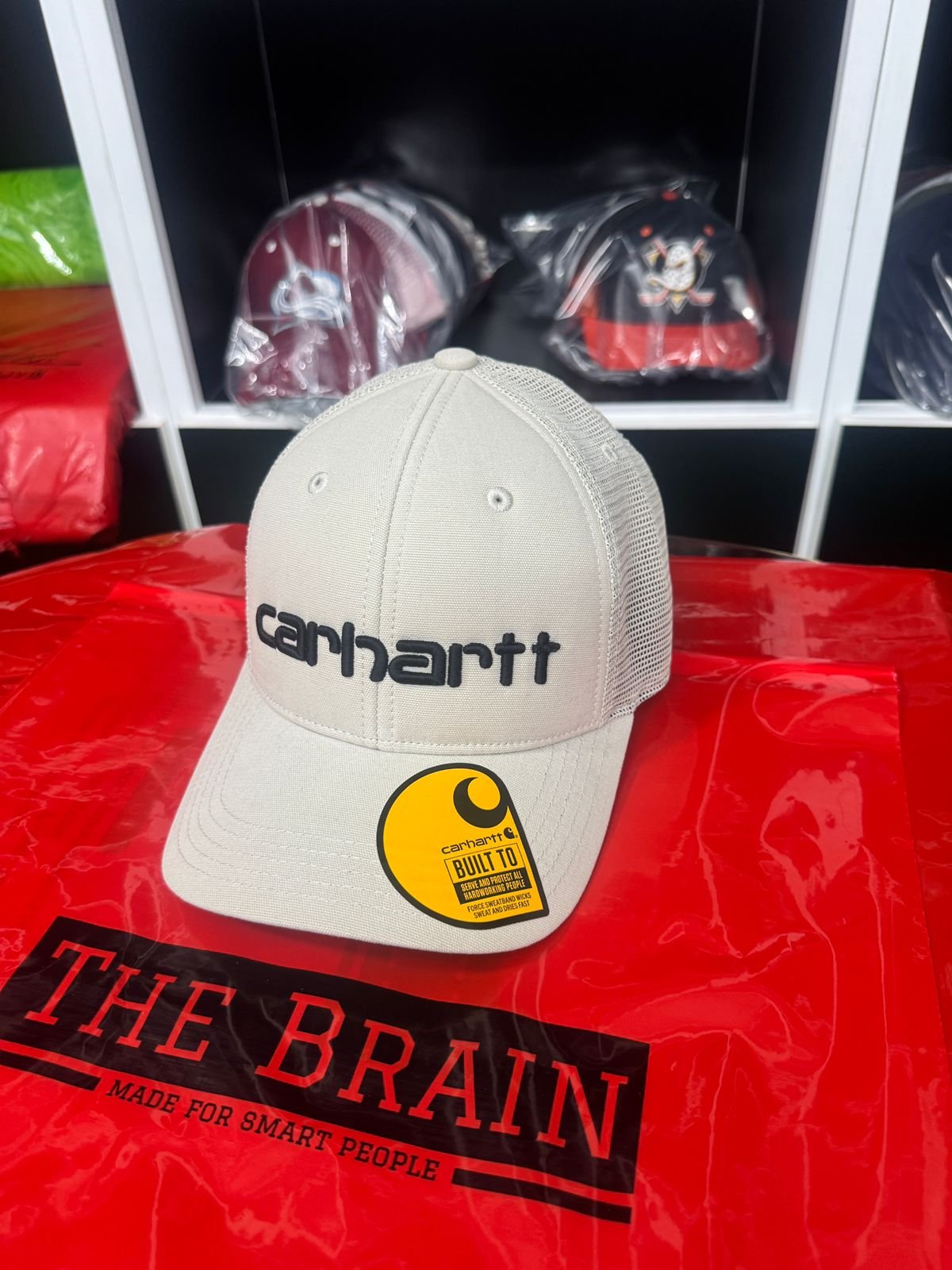 Carhartt Classic Mesh Trucker Cap (Blue/White)