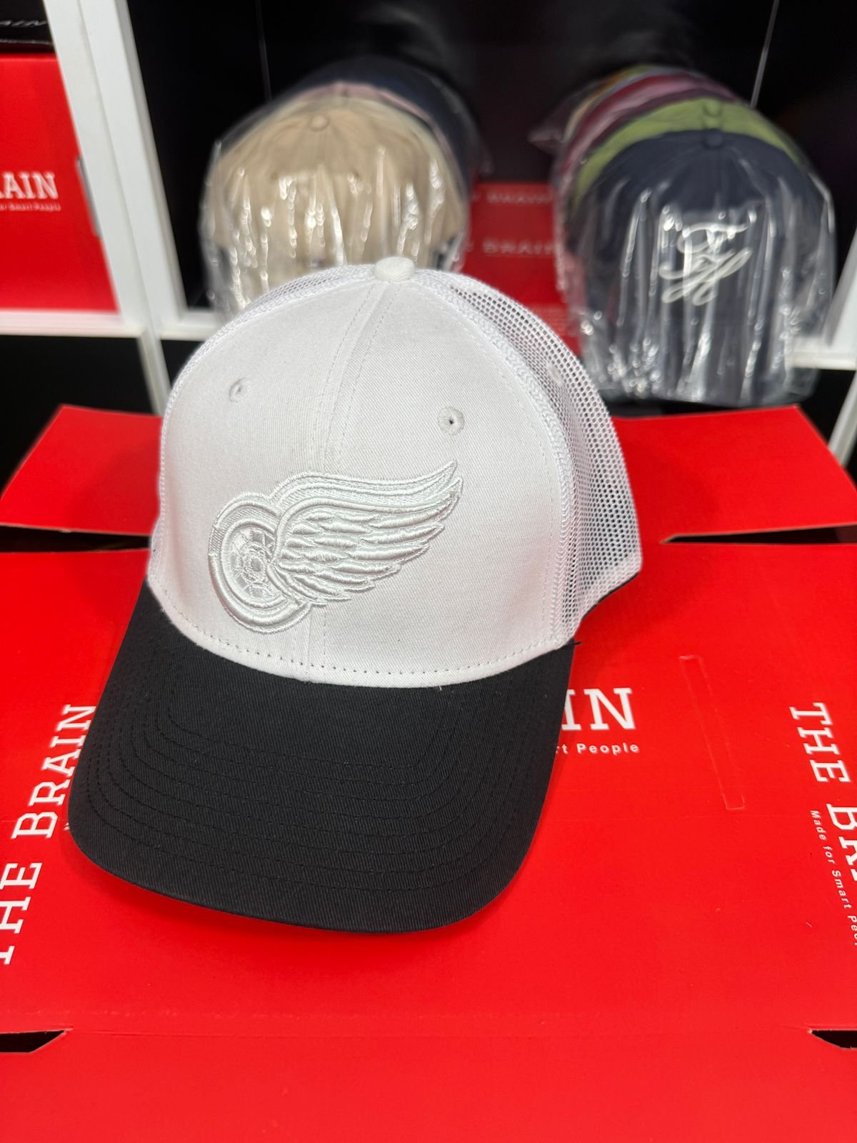 Detroit Red Wings Embroidered Trucker Cap (Mesh Snapback)