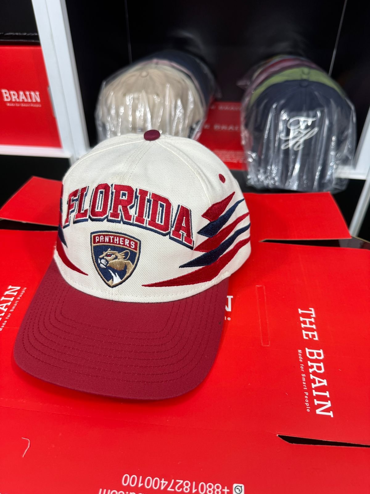Zephyr Florida Panthers Embroidered Snapback Cap (FLORIDA Front)