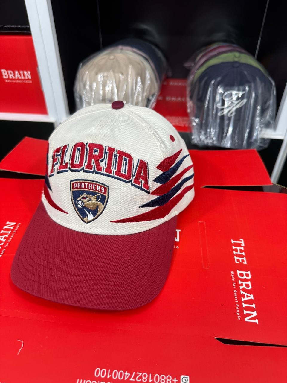 Florida Panthers Embroidered Snapback Baseball Cap (Zephyr)
