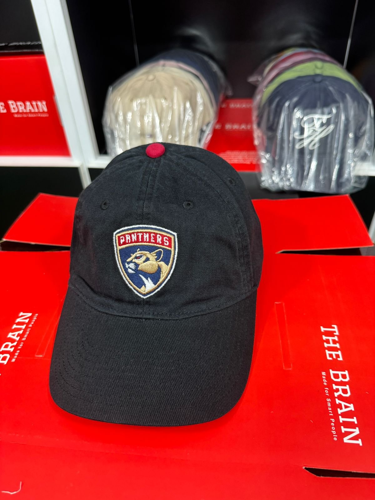 Zephyr “Panthers” Embroidered Baseball Cap